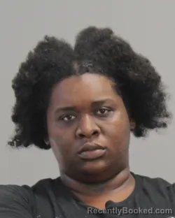 Mugshot of YAHEAVEN UNIQUE JOHNSON booked in Brazos County, Texas on April 9, 2026