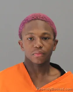 Booking photo from Brazos County, Texas