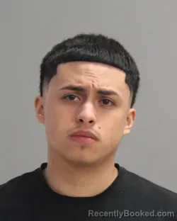 Mugshot of ALEXIS ANTONIO MENA booked in Brazos County, Texas on April 10, 2026