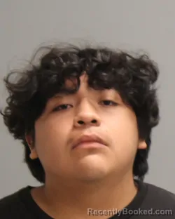 Mugshot of Jose Ramon Waldo booked in Brazos County, Texas on May 5, 2026
