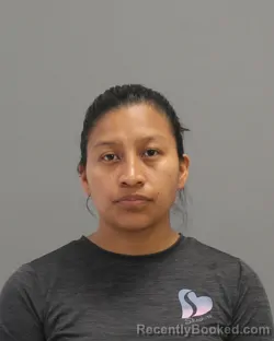 Mugshot of FERNANDA LISSETH SANDOVAL-GOMEZ booked in Brazos County, Texas on April 16, 2026