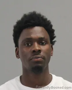 Mugshot of ALI MOHAMED IBRAHIM booked in Brazos County, Texas on April 16, 2026