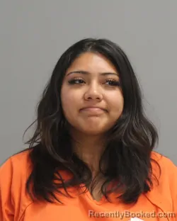 Mugshot of KAREN LOPEZ booked in Brazos County, Texas on April 16, 2026
