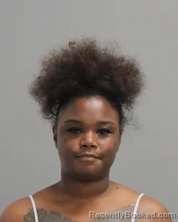 Mugshot of CYNTHIA RENEE PERRY booked in Brazos County, Texas on April 21, 2026