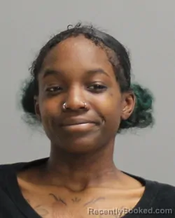 Mugshot of PARIS DANYLLE CLARK booked in Brazos County, Texas on April 22, 2026
