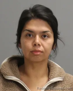 Mugshot of Alanna Silva booked in Brazos County, Texas on April 23, 2026