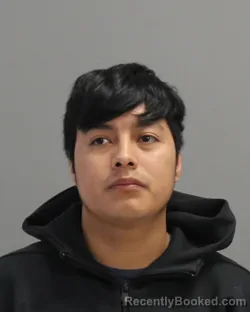 Mugshot of ADOLFO GUSTAVO booked in Brazos County, Texas on April 23, 2026