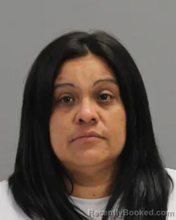 Mugshot of MARY LESA KRAUSE booked in Brazos County, Texas on April 25, 2026
