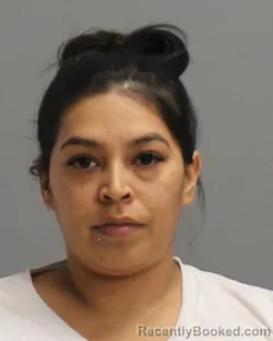 Mugshot of ANGELICA MARIE REYES booked in Brazos County, Texas on April 26, 2026