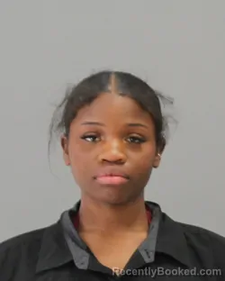 Mugshot of ZIKYRIAH ALADRIA WALKER booked in Brazos County, Texas on April 26, 2026