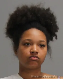 Mugshot of AISLYNN DIANA CURTIS BROOKS booked in Brazos County, Texas on April 27, 2026