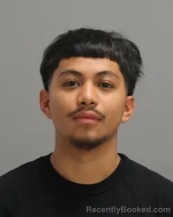 Mugshot of PABLO DAVID SOTO booked in Brazos County, Texas on April 29, 2026