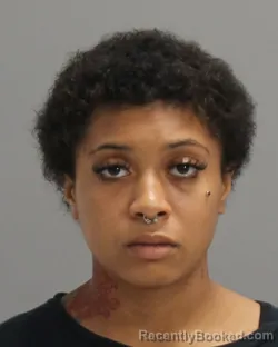 Mugshot of KELSIE RENAE BROOKS booked in Brazos County, Texas on April 29, 2026