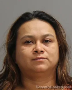 Mugshot of DARLIS CALDERON booked in Brazos County, Texas on April 29, 2026