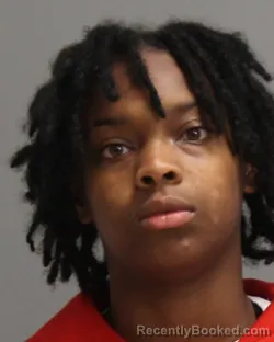 Mugshot of SHA'MIYAH CHANTELL HOSKINS booked in Brazos County, Texas on April 29, 2026