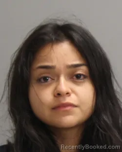 Mugshot of ELYSIA MARIA PALAO booked in Brazos County, Texas on May 1, 2026