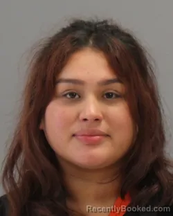 Mugshot of LORREINE GOVEA booked in Brazos County, Texas on May 2, 2026