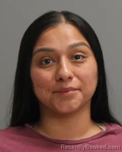Mugshot of Stephanie Arevalo booked in Brazos County, Texas on May 2, 2026