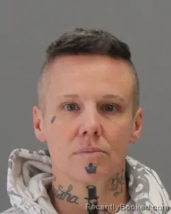 Mugshot of HEIDI ELIZABETH WOSOTOWSKY booked in Brazos County, Texas on May 3, 2026