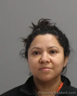 Mugshot of ROSMERY ALEJANDRA HERNANDEZ-LOPEZ booked in Brazos County, Texas on May 6, 2026