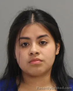 Mugshot of DAYANIRA ANANI GONZALEZ booked in Brazos County, Texas on May 9, 2026