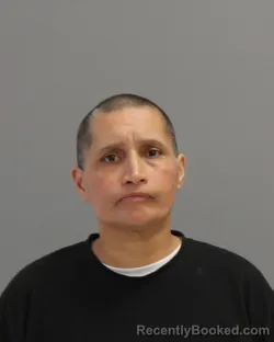 Mugshot of THERESA CASTILLO booked in Brazos County, Texas on May 9, 2026