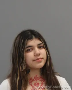 Mugshot of ANUBIS AGLAE DESANTIAGO-OLVERA booked in Brazos County, Texas on May 10, 2026