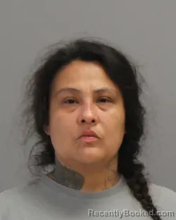 Mugshot of ELVIRA OLIVA booked in Brazos County, Texas on May 10, 2026