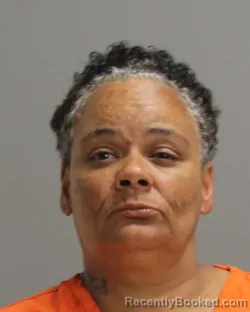 Mugshot of TASHA JAMES booked in Brazos County, Texas on May 13, 2026