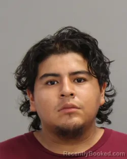 Mugshot of FRANSCIO JAVIER CECILIO booked in Brazos County, Texas on June 9, 2026