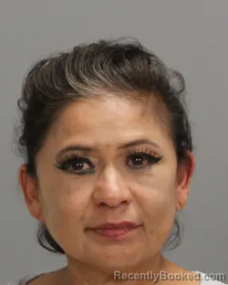 Mugshot of DEBBIE VASQUEZ booked in Brazos County, Texas on June 12, 2026