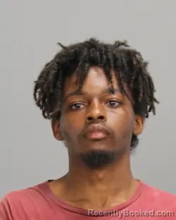 Mugshot of KEVAN OLAMIDE OLUWATAYO IBITAYO booked in Brazos County, Texas on June 13, 2026