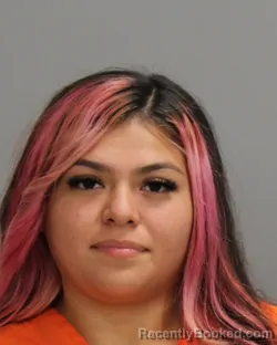 Mugshot of MELISSA ALVAREZ booked in Brazos County, Texas on June 14, 2026
