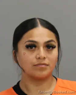 Mugshot of JASMINE ANAHI ALONSO booked in Brazos County, Texas on June 14, 2026