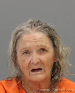 Mugshot of IDA MARIE FAZZINO booked in Brazos County, Texas on June 19, 2026