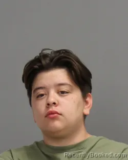 Mugshot of ALICIA JEAN GOMEZ booked in Brazos County, Texas on June 20, 2026