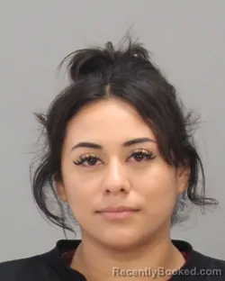 Mugshot of ALEIDA MARTINEZ HERNANDEZ booked in Brazos County, Texas on June 23, 2026