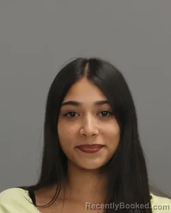 Mugshot of ANGY RUBI CASTILLO booked in Brazos County, Texas on June 23, 2026