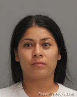 Mugshot of MARIA ARACELY MENJIVAR booked in Brazos County, Texas on June 23, 2026