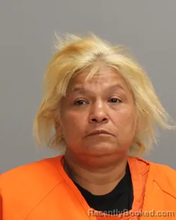 Mugshot of YVONNE DELACRUZ VELASCO booked in Brazos County, Texas on July 24, 2026