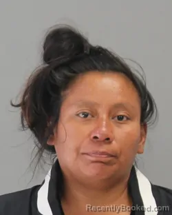 Mugshot of Angela Rae Hernandez booked in Brazos County, Texas on June 26, 2026