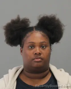 Mugshot of Adrian Renee Fleeks booked in Brazos County, Texas on June 30, 2026
