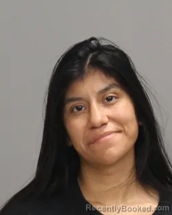 Mugshot of Reagan Elizabeth Herrera booked in Brazos County, Texas on June 30, 2026