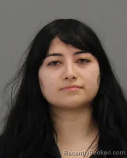 Mugshot of EDITH SILVA booked in Brazos County, Texas on July 3, 2026