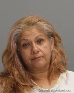 Mugshot of LORI ANN MEZA booked in Brazos County, Texas on July 3, 2026