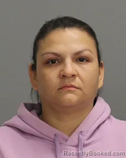 Mugshot of ANNA KAREN MAKNOJIA booked in Brazos County, Texas on July 4, 2026