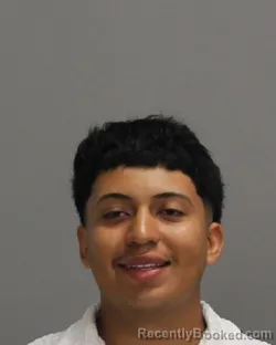 Mugshot of Kaylan Alvarado Ochoa booked in Brazos County, Texas on July 4, 2026