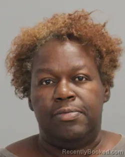 Mugshot of KESHA LATRICE JENKINS booked in Brazos County, Texas on July 4, 2026
