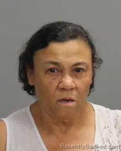 Mugshot of BRENDA LOUISE WALKER booked in Brazos County, Texas on July 4, 2026