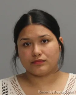 Mugshot of Ana Jimenez booked in Brazos County, Texas on July 4, 2026